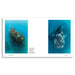 A two-page spread from a Nature magazine featuring underwater photographs of a whale shark and a coral reef with a small blue fish, presented on a white background.