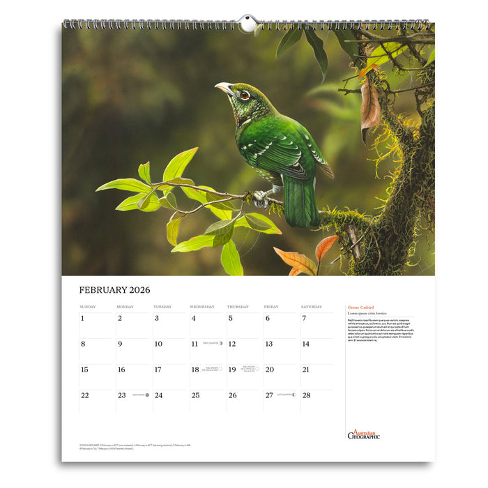 Calendar page for February 2026 featuring a green bird on a branch with a blurred natural background.