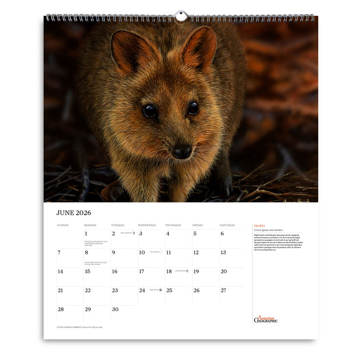 Calendar page for June 2026 featuring a quokka on a white background