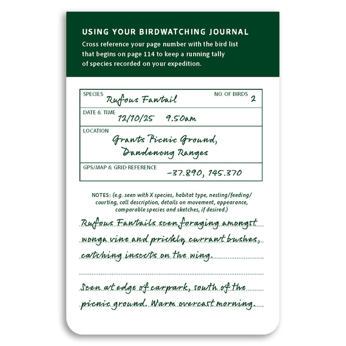 Birdwatching journal entry with handwritten details on a white background