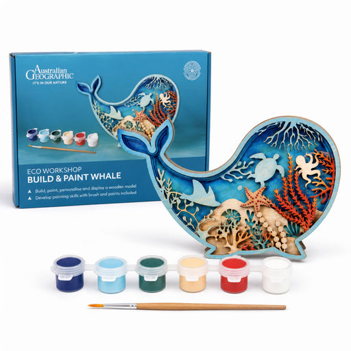 Australian Geographic Build & Paint Whale kit shown with its blue retail box, a painted whale sculpture filled with coral and sea life details, six small paint pots, and a paintbrush on a white background.
