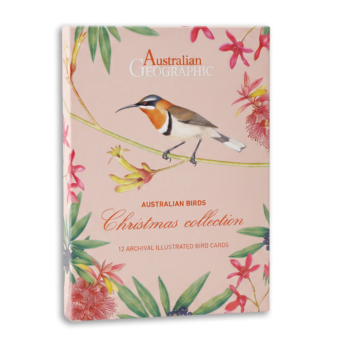 Australian Geographic christmas card box set of 12 archival illustrated bird cards