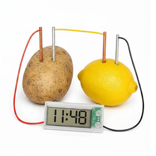 A science experiment setup featuring a potato and a lemon connected by copper and silver metal rods, with a digital timer showing 11:48. The potato is wired with a red wire and the lemon with a black wire, all on a clean white background.