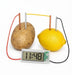 A science experiment setup featuring a potato and a lemon connected by copper and silver metal rods, with a digital timer showing 11:48. The potato is wired with a red wire and the lemon with a black wire, all on a clean white background.