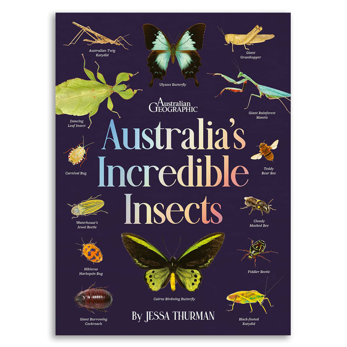 Book cover of 'Australia's Incredible Insects' by Jessa Thurman with illustrations of various insects on a dark background.