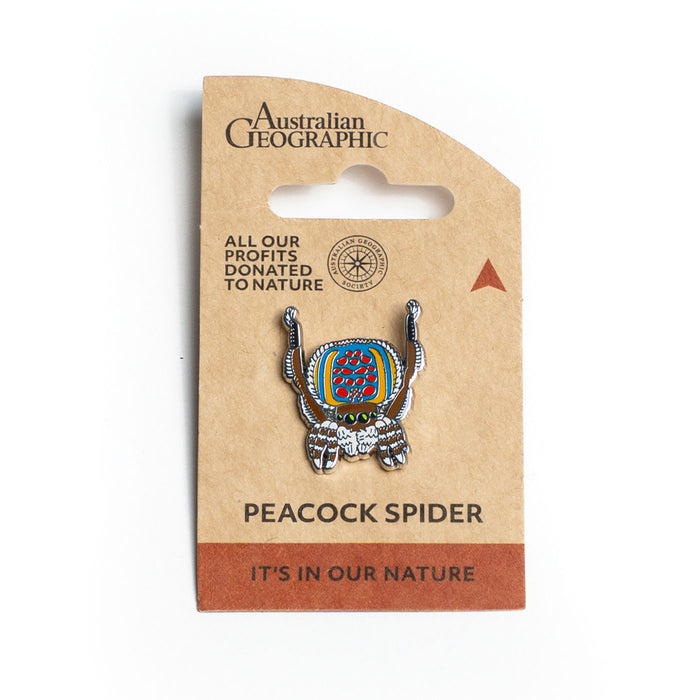 Australian Geographic Peacock Spider Pin