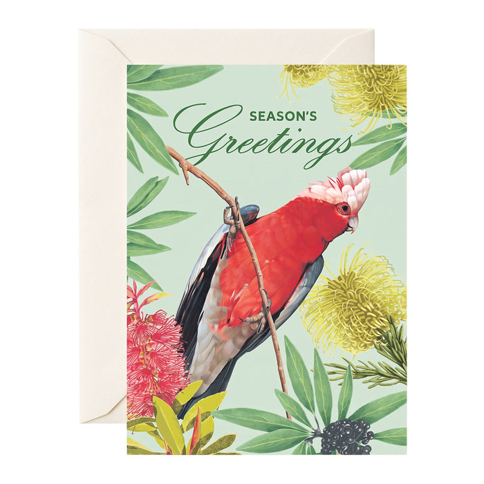 A greeting card with a cream envelope behind it, featuring an illustration of a red and pink cockatoo perched among green leaves and yellow flowers on a pale mint background, with the words 'Season's Greetings' at the top.
