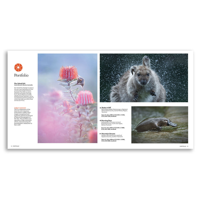 A printed wildlife photography portfolio page from Portfolio Press, featuring two large nature photographs, a pink flower close-up, and descriptive text on a white page layout.