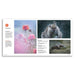 A printed wildlife photography portfolio page from Portfolio Press, featuring two large nature photographs, a pink flower close-up, and descriptive text on a white page layout.