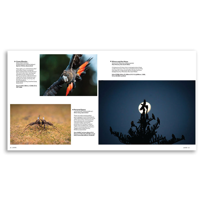 A two-page spread from a printed booklet or magazine showing bird photography and descriptive text. The pages include a red-and-black bird in flight, a ground bird in profile, and a silhouetted tree with birds against a full moon on a white page background.