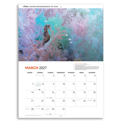 A vertical wall calendar page for March 2027, featuring a large underwater photograph of a seahorse among colorful coral reefs at the top and a monthly calendar grid at the bottom on a white background.