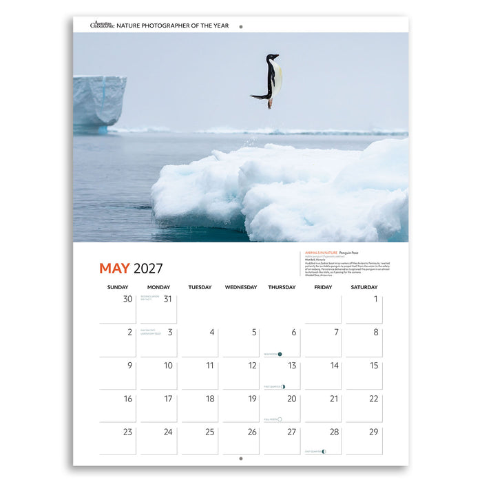 A single-page calendar poster for May 2027, featuring a photograph of a penguin jumping over icy water with icebergs in the background. The top header reads 'Oceania Nature Photographer of the Year.