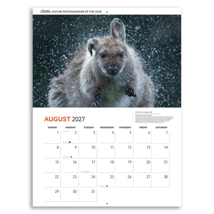 A single-page wall calendar spread showing August 2027 with a large photograph of a fluffy gray animal in falling snow at the top and a white calendar grid below.