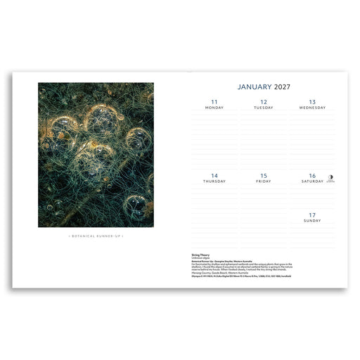 A single-page planner insert or desk calendar spread on a white background. The left side shows a square botanical runner art print with swirling blue, teal, and gold marbled patterns and the caption 'BOTANICAL RUNNER UP!'.