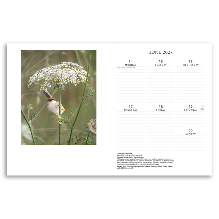 A single-page calendar spread from June 2027 with a large square photograph of a small bird perched on a flowering wildflower on the left and lined daily planning sections on the right.