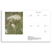 A single-page calendar spread from June 2027 with a large square photograph of a small bird perched on a flowering wildflower on the left and lined daily planning sections on the right.