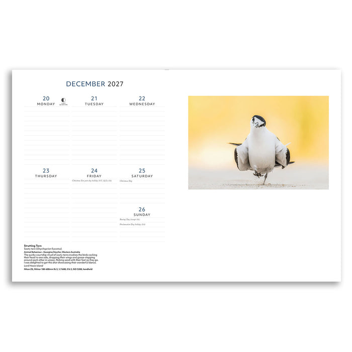 A single-page calendar spread from December 2027 on a white background, with a weekly schedule layout on the left and a square photo of a penguin on the right.