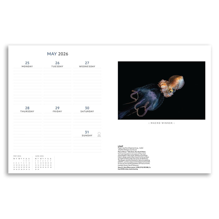 Calendar page for May 2026 with a squid illustration on a white background