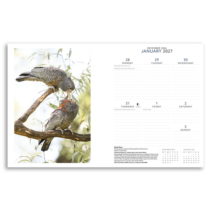 Calendar with birds on a branch and January 2027 dates.