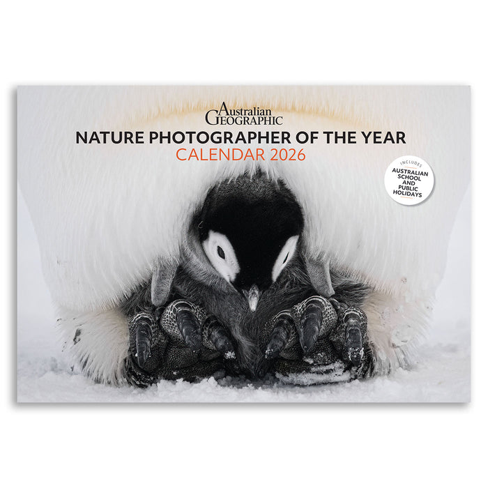 Calendar cover featuring a penguin in a snowy landscape with 'Australian Geographic' branding.