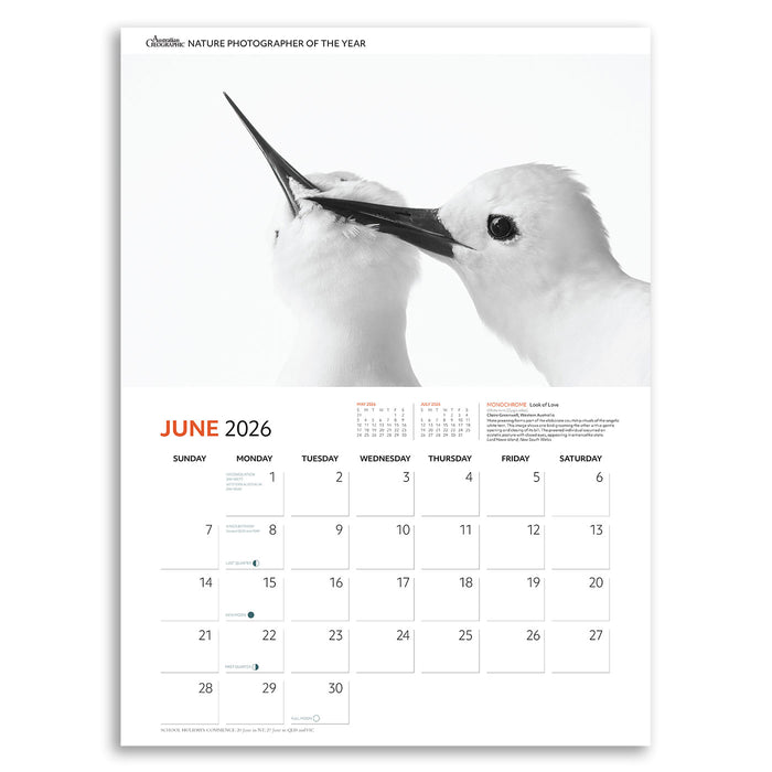 Calendar page for June 2026 featuring a black and white photo of two birds.