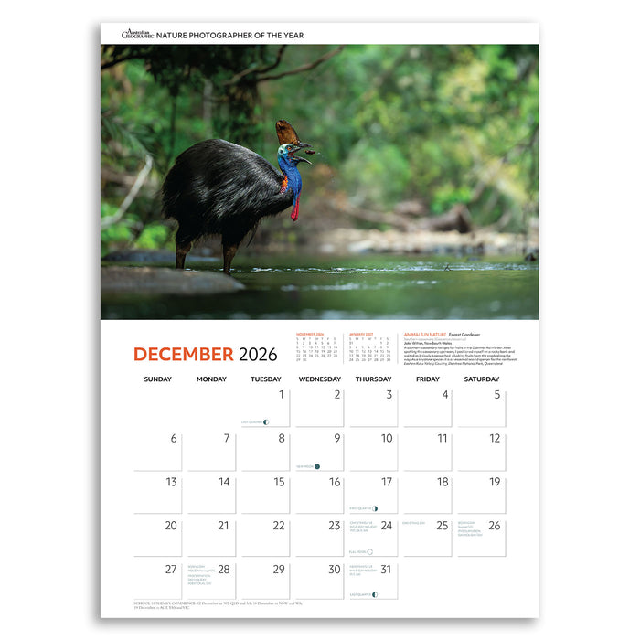 Calendar page for December 2026 featuring a cassowary bird in a natural setting.