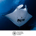 An underwater photograph of a manta ray swimming upward through deep blue ocean water, with the Australian Geographic Society logo printed at the bottom on a white band.