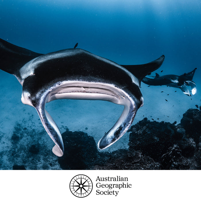 Underwater photograph of a giant manta ray swimming through deep blue ocean water, with a second manta ray and coral reef in the background. The Australian Geographic Society logo is printed at the bottom on a white band.
