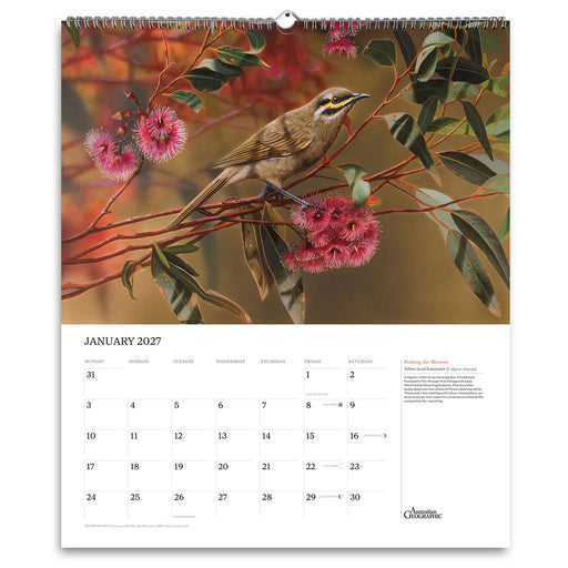 A spiral-bound January 2027 wall calendar page featuring a detailed nature photograph of a small bird perched on a branch with pink flowers, above a white calendar grid and text.