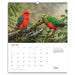A spiral-bound wall calendar page showing a large bird photograph of two parrots perched in branches, with an April 2027 calendar grid and text on the lower page. The visible brand at the bottom right is Conservation Geographic.