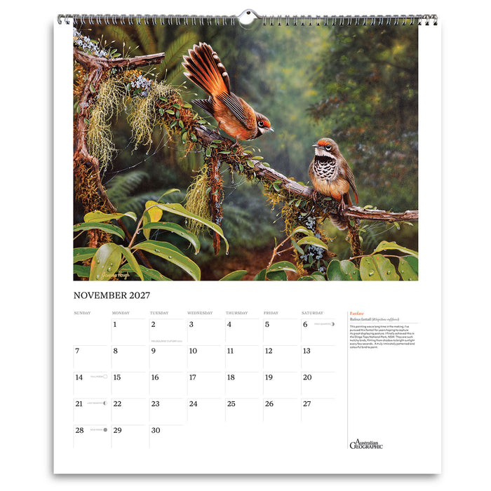 A spiral-bound November 2027 wall calendar page featuring a large bird photograph of two brown birds perched on branches in a lush green forest. The calendar includes a date grid and a short caption at the bottom right.