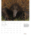 australian geographic art calendar 2024