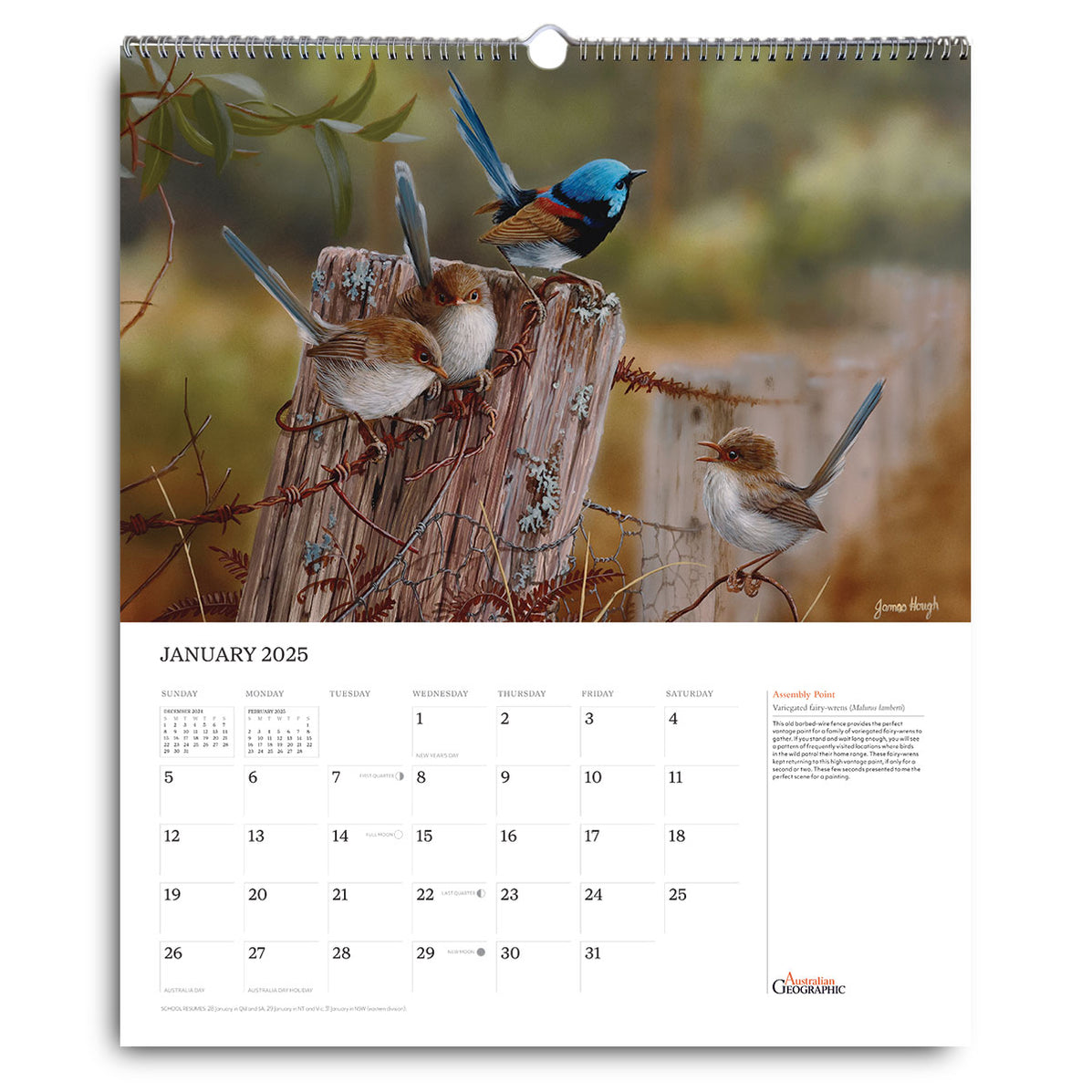 Australian Geographic Art Calendar 2025 Calendar 