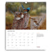 Australian Geographic Society Art Calendar 2025