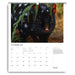 Australian Geographic Society Art Calendar 2025