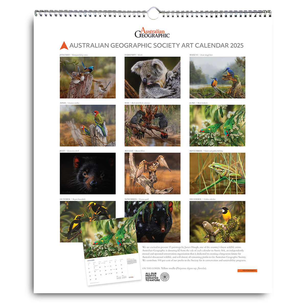 Australian Geographic Art Calendar 2025 Calendar 