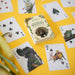 Marini Ferlazzo Playing Cards – Australian Wildlife