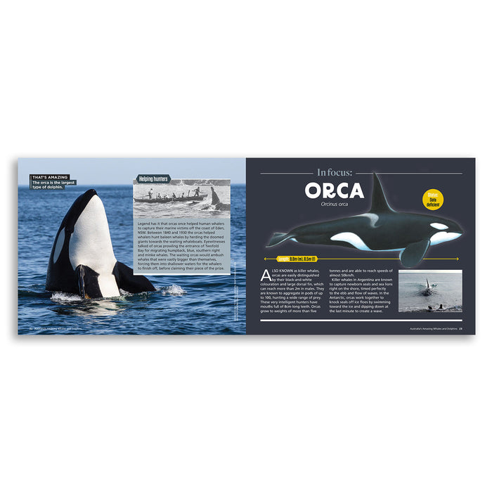 Australia's Amazing Whales and Dolphins