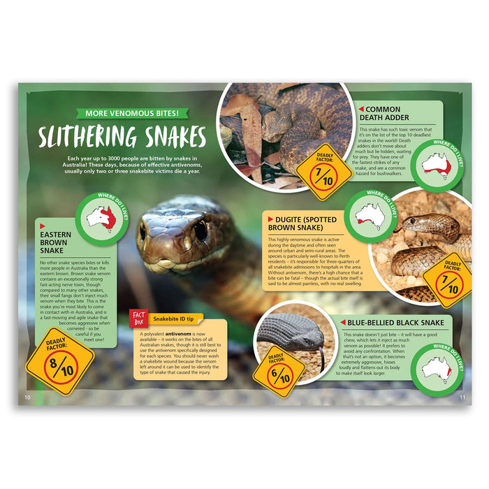 Educational poster about venomous snakes with images and text on a green background