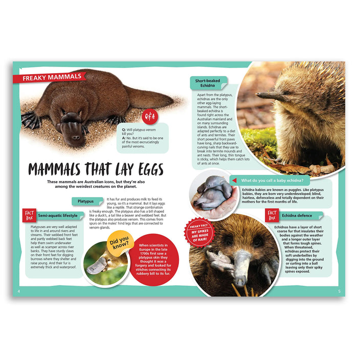 Educational page about mammals that lay eggs with images and text.