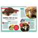 Educational page about mammals that lay eggs with images and text.