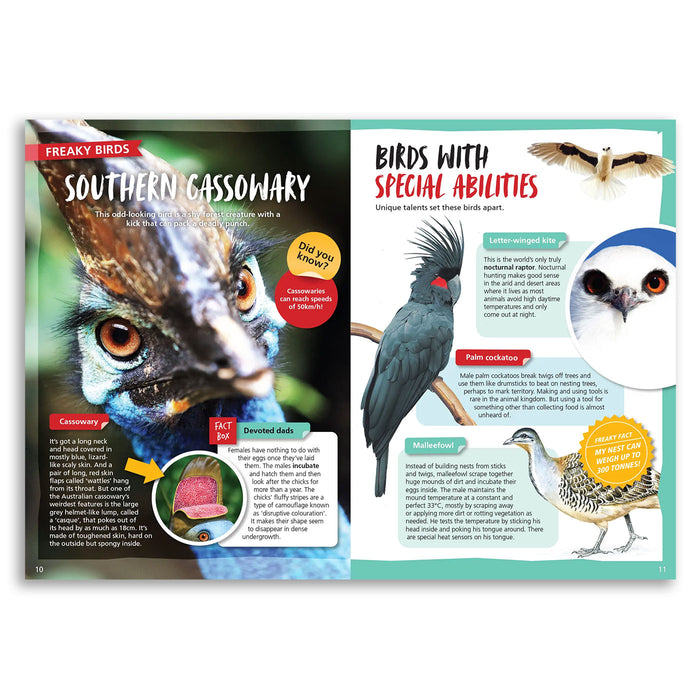 Page from a book or magazine featuring information about southern cassowary and other birds with special abilities.