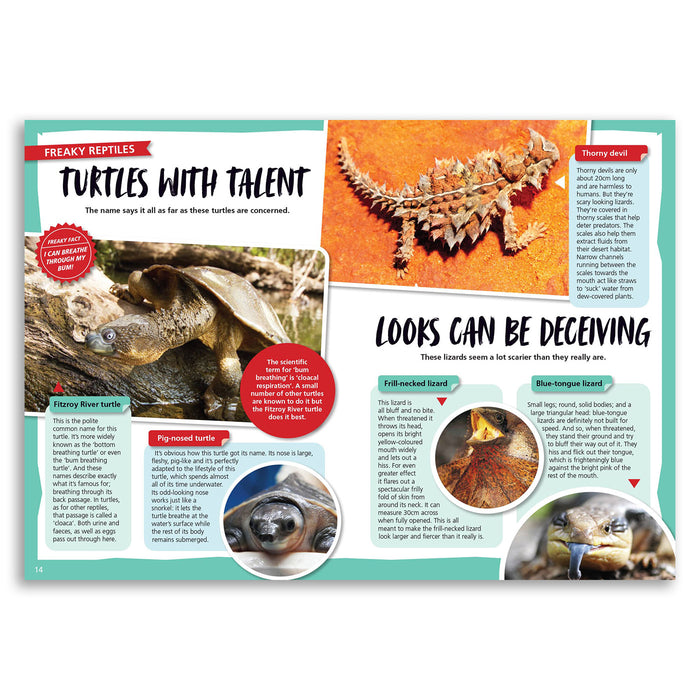 Educational book page about turtles with images and text.