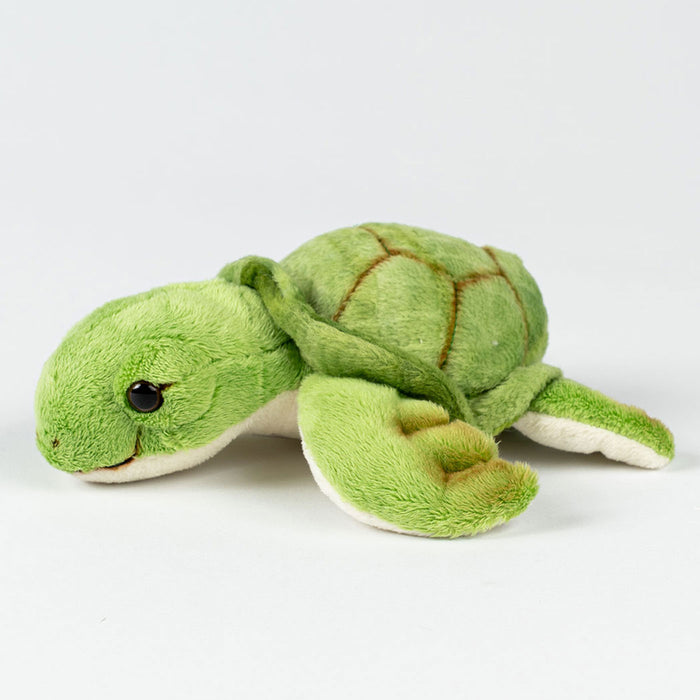Green plush turtle toy on a white background