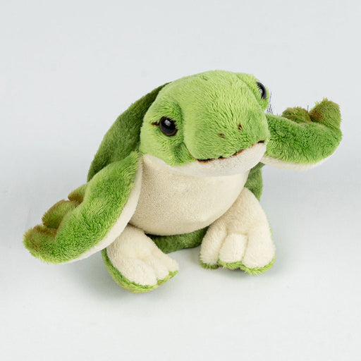 Green plush turtle toy on a light gray background
