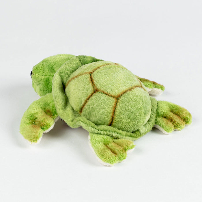 Green plush turtle toy on a white background