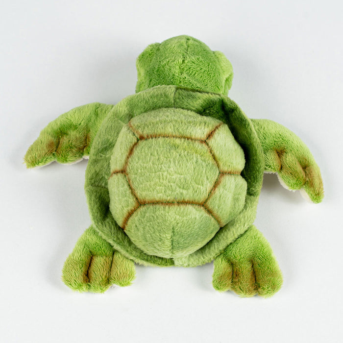 Green plush turtle toy on a white background