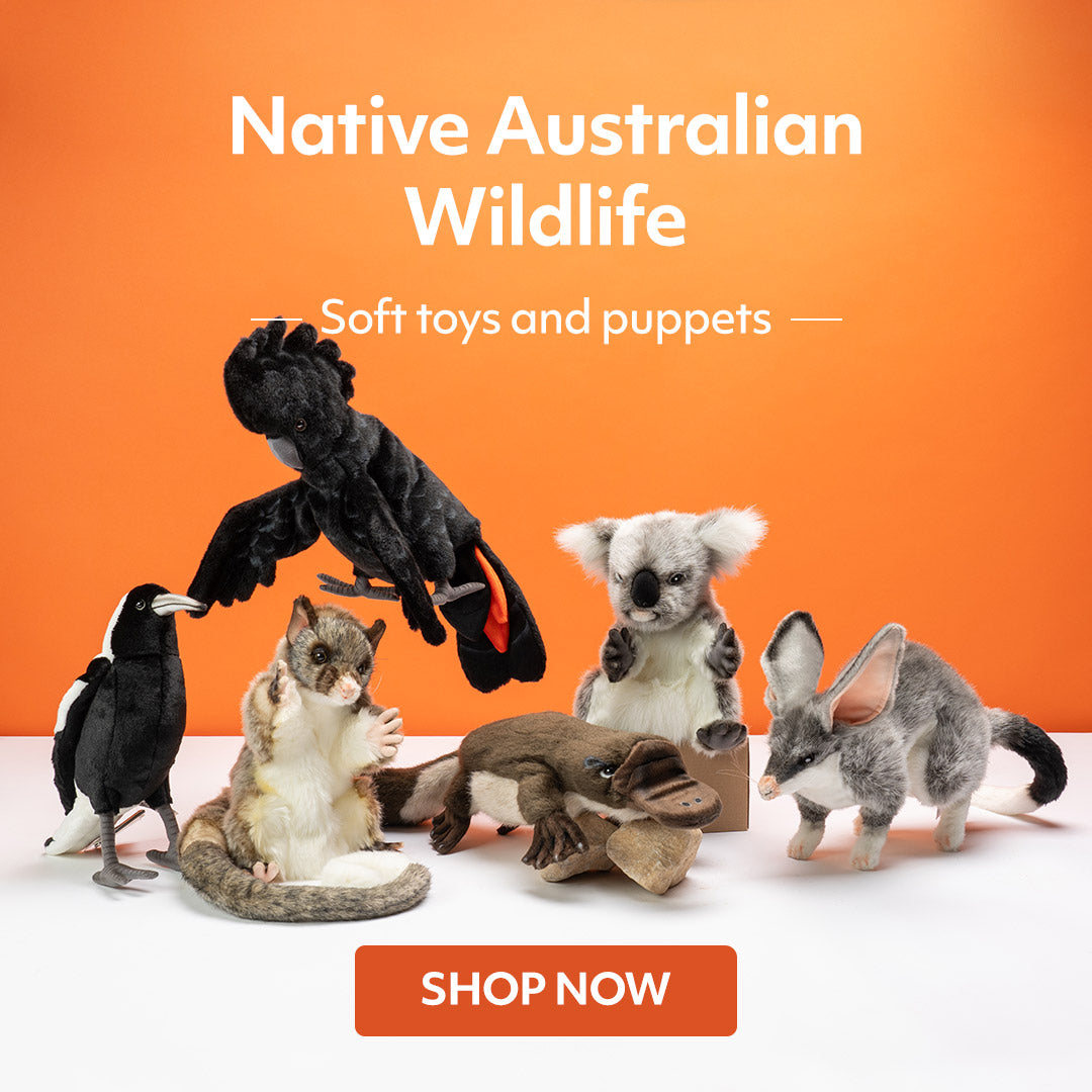 Australian Geographic Shop Educational Toys, Telescopes and more