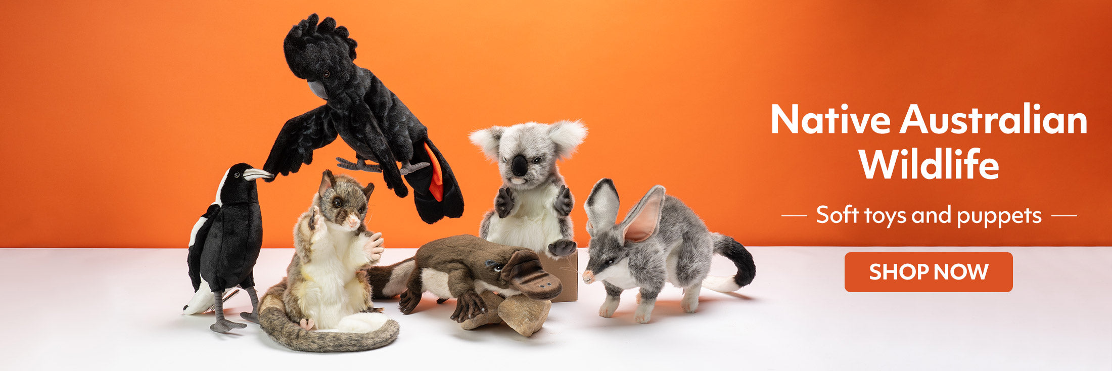 Australian Geographic Shop Educational Toys Telescopes And More australian-geographic-shop-educational-toys-telescopes-and-more