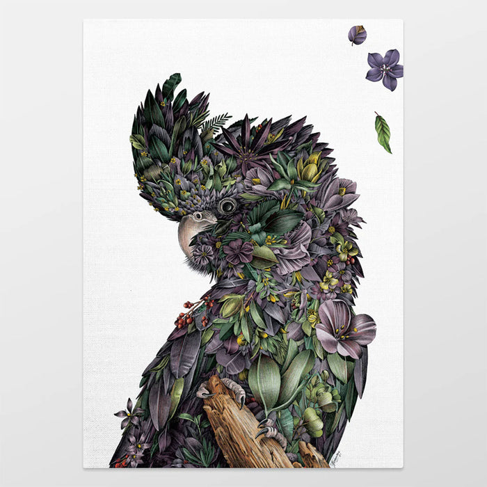 Marini Ferlazzo Organic Cotton Tea Towel – Red-tailed Black Cockatoo